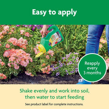 Plant food application infographic with reapply every 3 months and soil-feeding steps