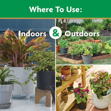 Plant food indoors and outdoors use chart for potted plants and gardens