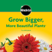 Plant food grow-bigger graphic with red and white blossoms