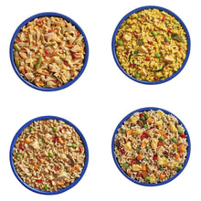 Prepared freeze-dried meals in round blue bowls: colorful rice with vegetables and chicken pieces