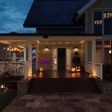 Purple glowing outdoor rope climbing spider decoration hanging near porch lights