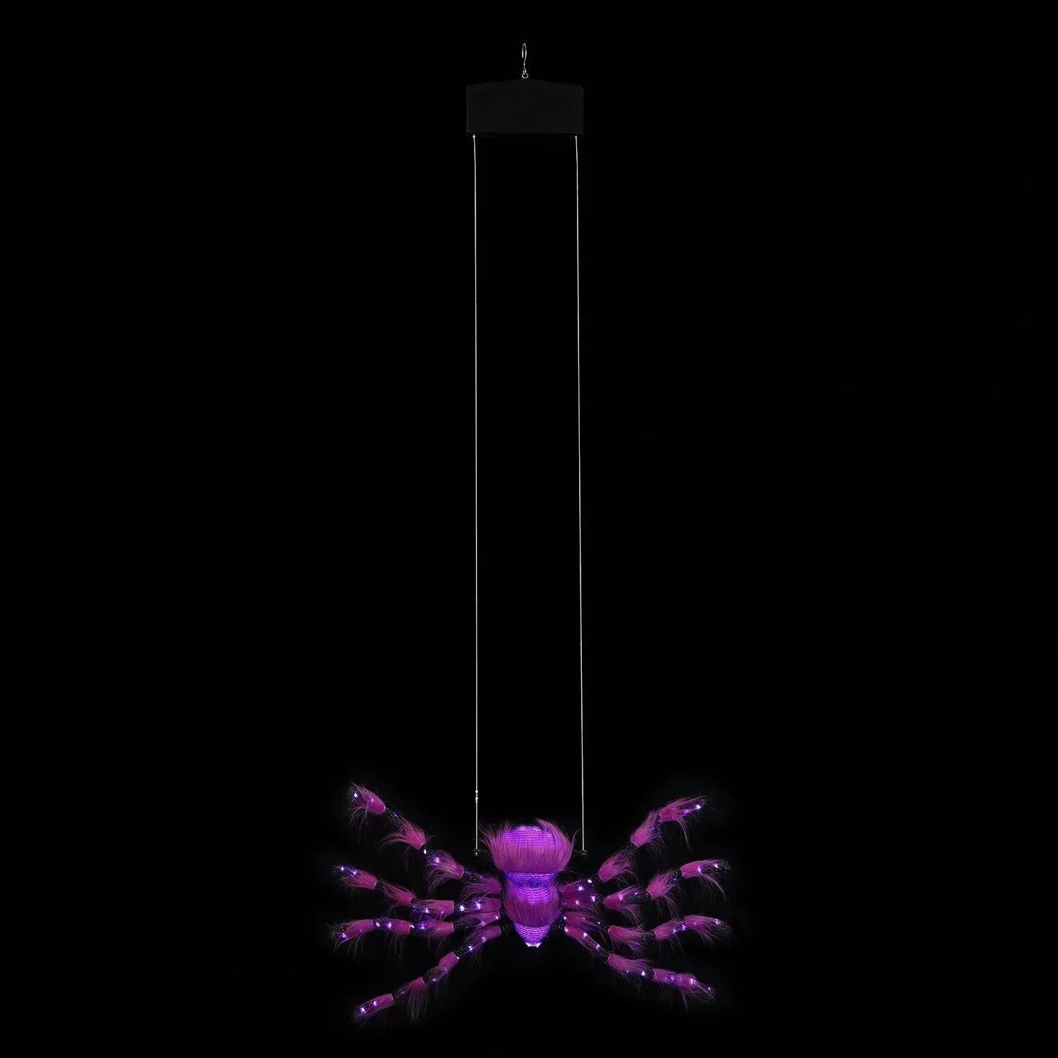 Mr. Halloween Outdoor Rope Climbing Spider