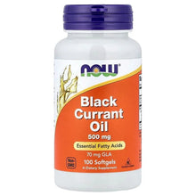 NOW Black Currant Oil 500 mg softgels bottle with purple cap and front label