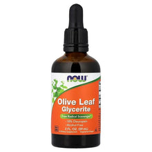 NOW Olive Leaf Glycerite dropper bottle with front label