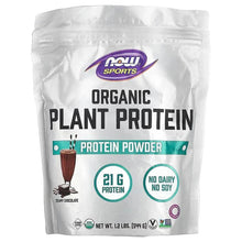 Organic plant protein powder pouch with NOW Sports logo and 21 g protein label