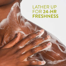 Hands lathering with body wash foam, “Lather up for 24-hr freshness” text