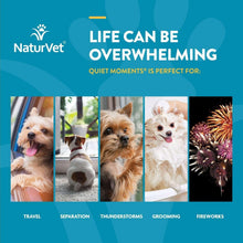 Dog calming aid banner with dogs and icons for travel, separation, storms
