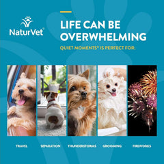 NaturVet, Quiet Moments Plus Melatonin, Soft Chews for Dogs, 240 ct.