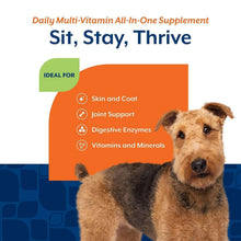Dog on daily multi-vitamin all-in-one supplement marketing panel