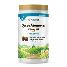 Dog calming soft chews bottle with Quiet Moments label and melatonin