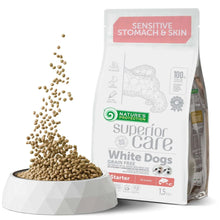 Grain-free dry dog food bag with starter label and kibble in white bowl