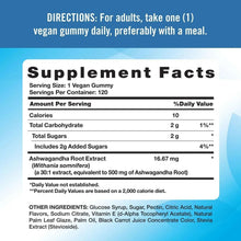 Supplement Facts panel for vegan ashwagandha gummies, listing serving size and nutrients.