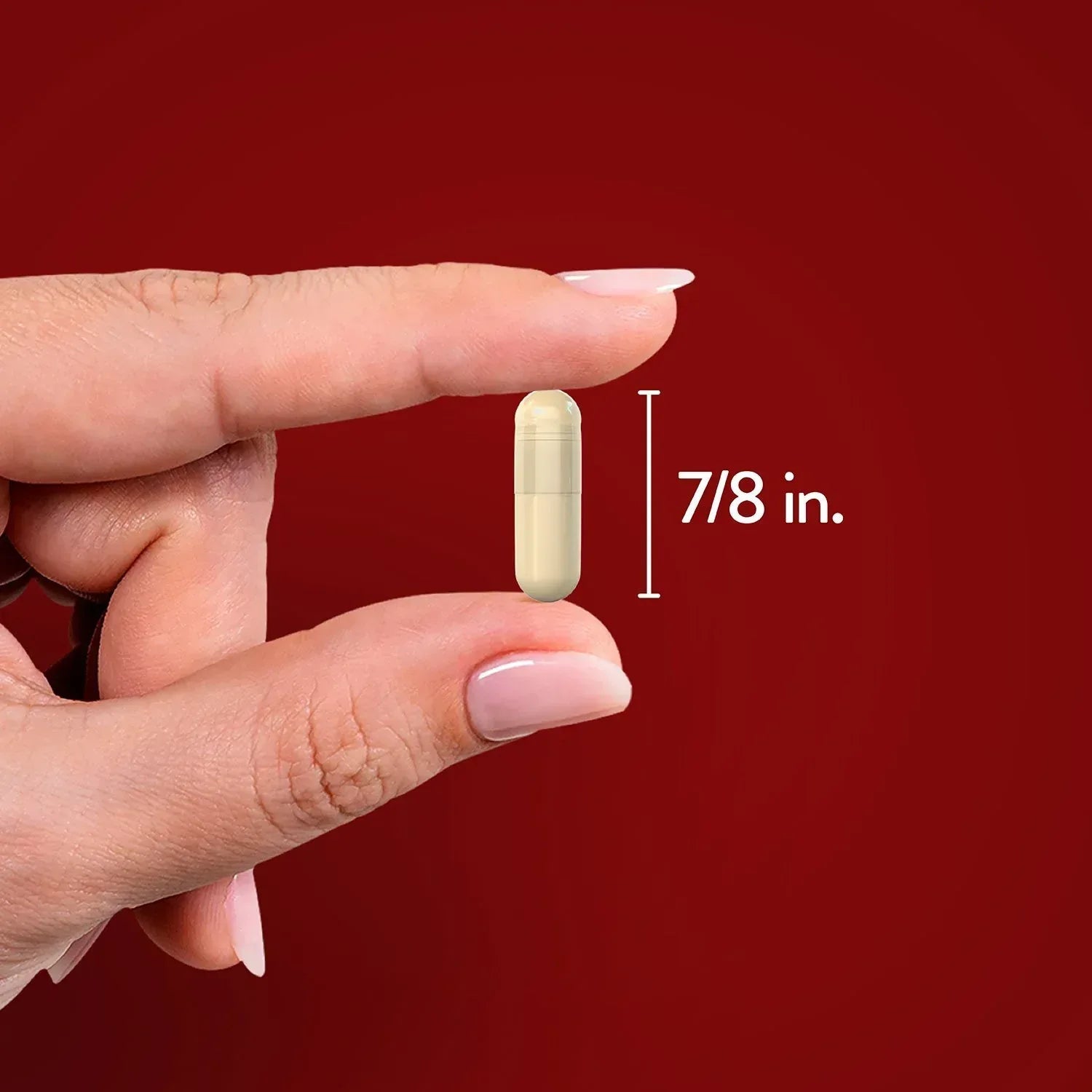 Nature's Truth Concentrated Ceylon Cinnamon 2,000 mg Capsules 150 ct.