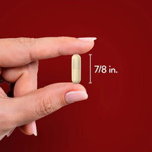 Single capsule held in a hand, size marked 7/8 in.