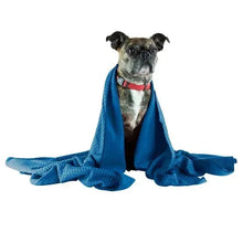 Dog lying with blue towel draped around shoulders like a blanket