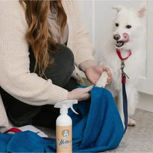 Person towel-drying dog with blue towel and waterless shampoo spray bottle