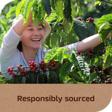 Instant coffee responsibly sourced, smiling coffee harvester among coffee trees