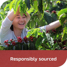 Coffee plant with worker harvesting berries, responsibly sourced