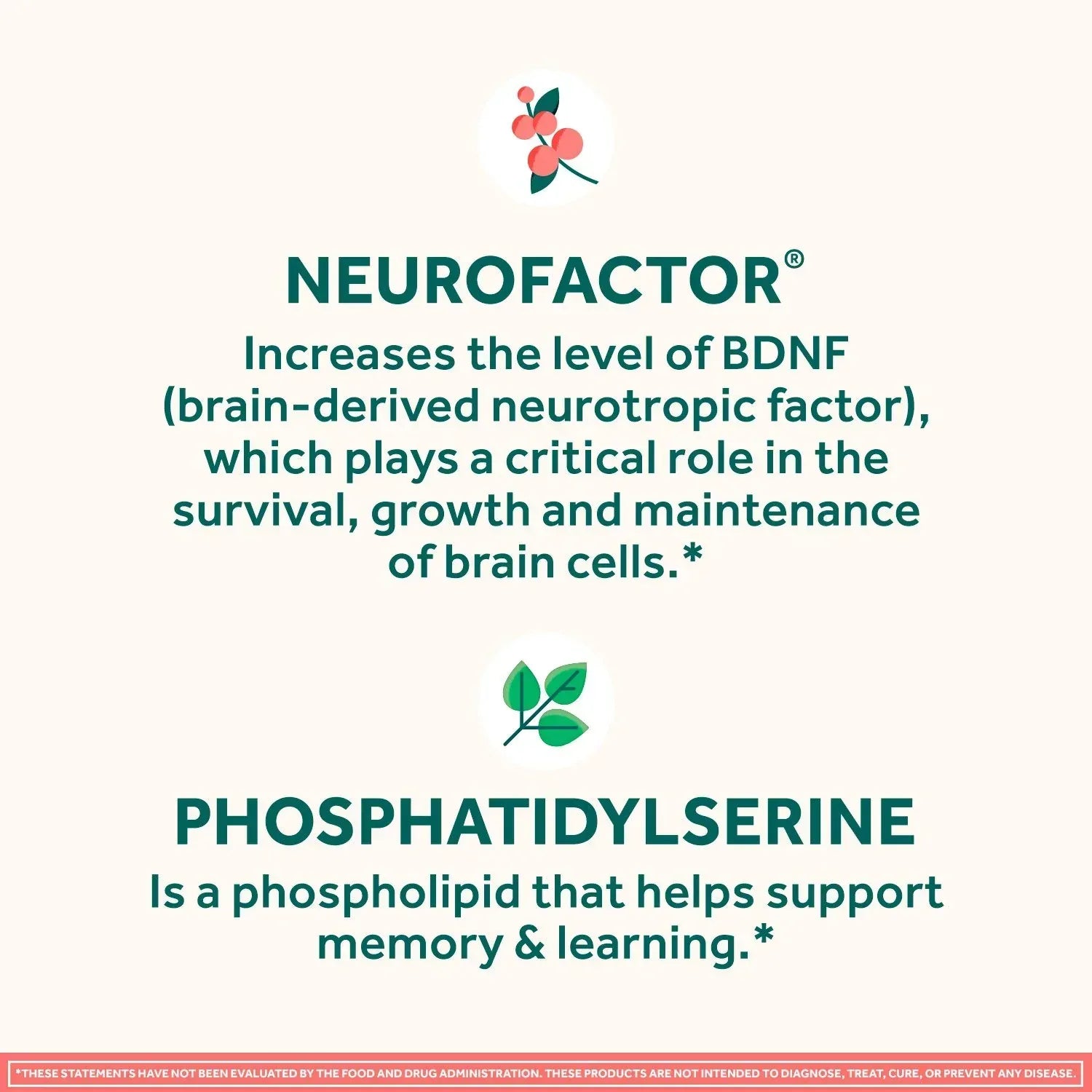Neuriva Original Brain Health Supplement Capsules – 45 Count