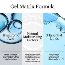 Hyaluronic acid and moisturizing factors infographic with essential lipids diagram