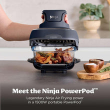 Portable air fryer system with open glass cooking chamber and roasted food
