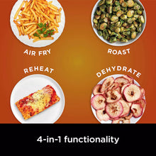 Air fryer functions graphic with fries, chicken, roasted food, and dehydrated apple slices