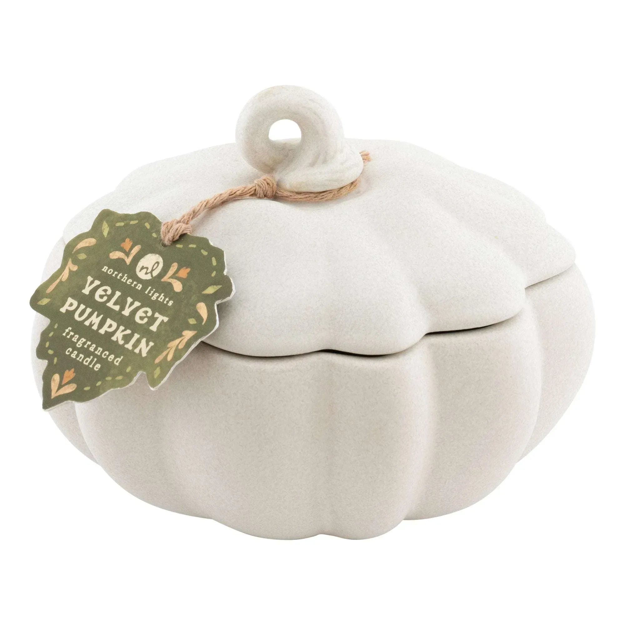 Northern Lights Ceramic 9 oz. Pumpkin Candle