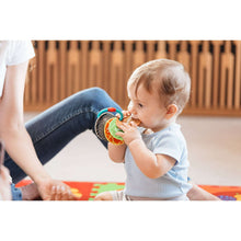 Baby teething toy ring with multicolor animal flash cards for chewing and gripping