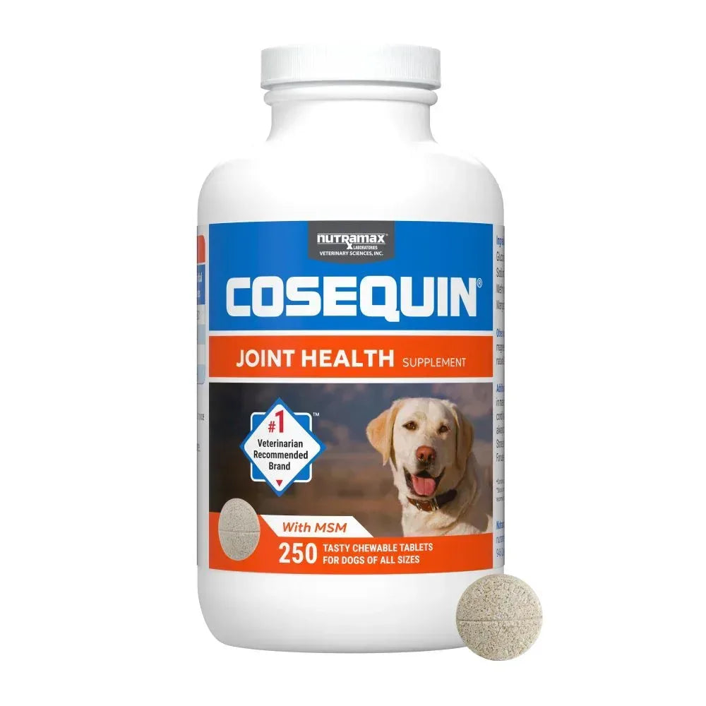Nutramax Cosequin for Dogs Joint Health Supplement, Chewable Tablets, 60 Count
