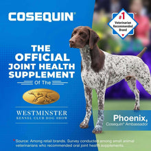 Joint health supplement featuring Cosequin branding and #1 veterinarian recommended badge