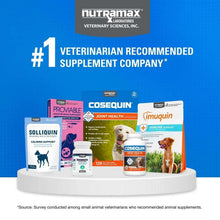 Nutramax supplement lineup featuring Cosequin joint health soft chews and #1 badge