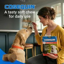 Tasty joint health soft chew package with dog on label, for daily use
