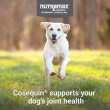 Dog running outdoors with Cosequin joint health supplement pouch shown