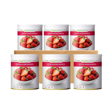Freeze-dried strawberries canisters, assorted Nutristore containers in a 3x2 display