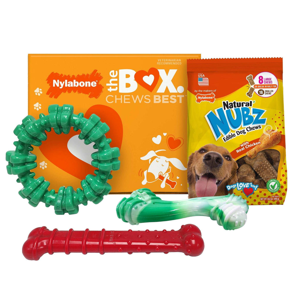 Nylabone Chew Toys & NUBZ Chew Treats Holiday Gift Box, 4-count - USA MEGA SHOP