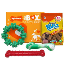 Dog chew gift box with green and red Nylabone toys and NUBZ treat packs