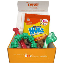 Nylabone UN Box with Natural NUBZ treat bag and green and red chew toys