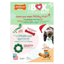 Nylabone holiday gift box with "the Box" chews best branding