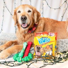 Natural NUBZ dog treat bag with green and red chew toys