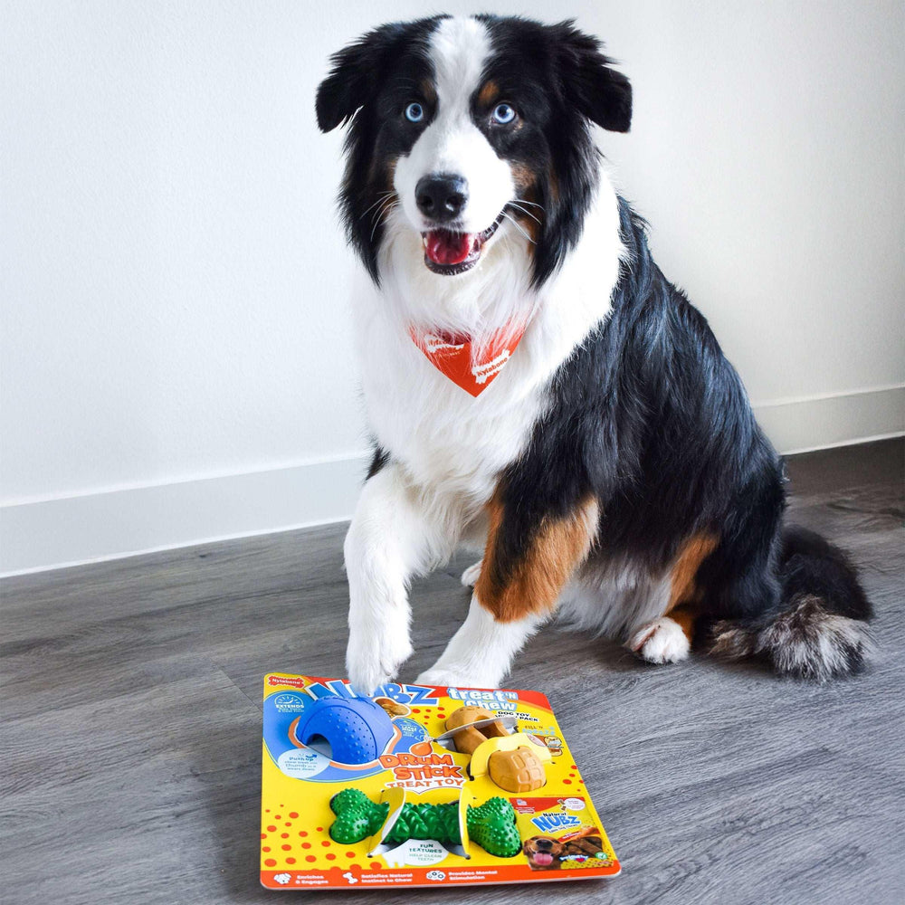 Nylabone NUBZ Treat N' Chew Dog Toy Variety Pack, 3-count - USA MEGA SHOP