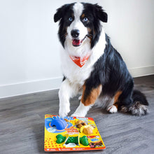 Dog next to Nylabone NUBZ treat chew toy variety pack with blue, green, and tan pieces