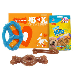 Nylabone Puppy Chew Toys and Small NUBZ Gift Box, 4-count - USA MEGA SHOP