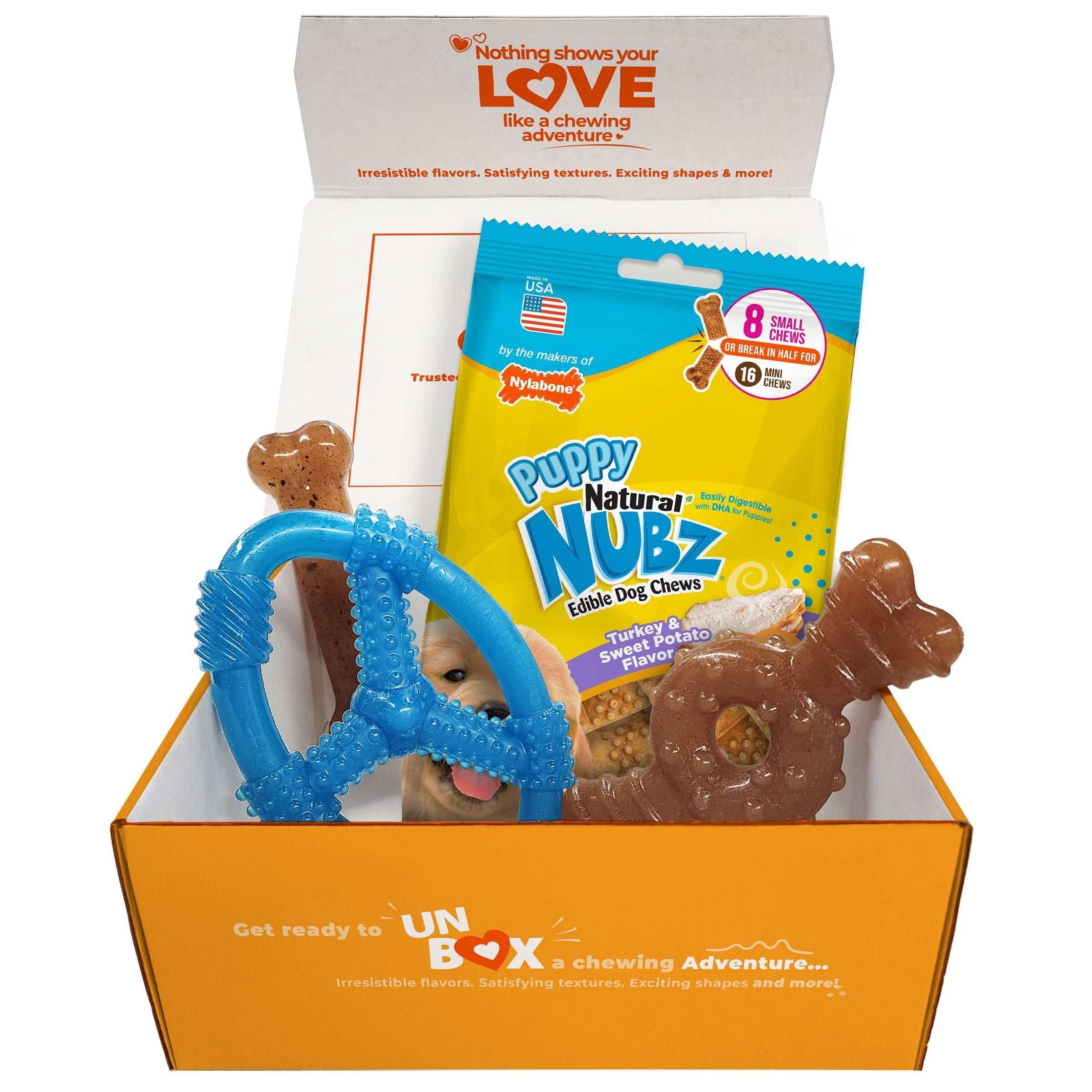 Nylabone Puppy Chew Toys and Small NUBZ Gift Box, 4-count - USA MEGA SHOP