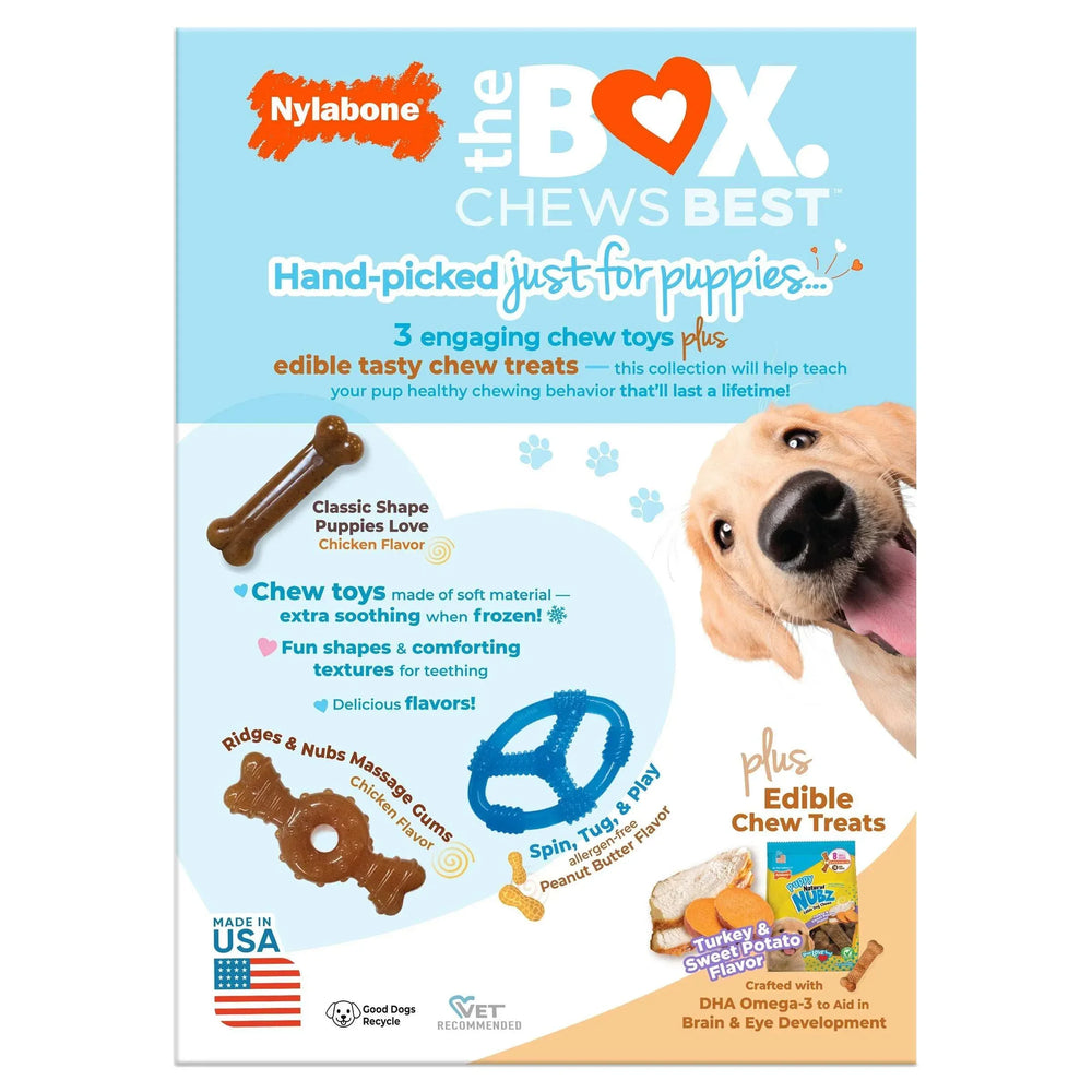 Nylabone Puppy Chew Toys and Small NUBZ Gift Box, 4-count - USA MEGA SHOP