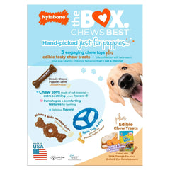 Nylabone Puppy Chew Toys and Small NUBZ Gift Box, 4-count - USA MEGA SHOP