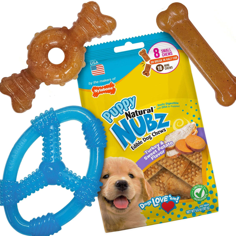 Nylabone Puppy Chew Toys and Small NUBZ Gift Box, 4-count - USA MEGA SHOP