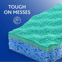 Close-up of green scrub layer on blue foam sponge pad