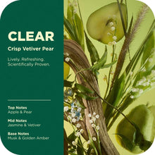 Body wash scent notes graphic featuring crisp vetiver pear illustration