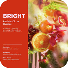 OLLY Bright body wash graphic panel highlighting radiant citrus currant notes