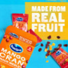 Ocean Spray Mango Cran Snack Medley pouches with fruit fragments